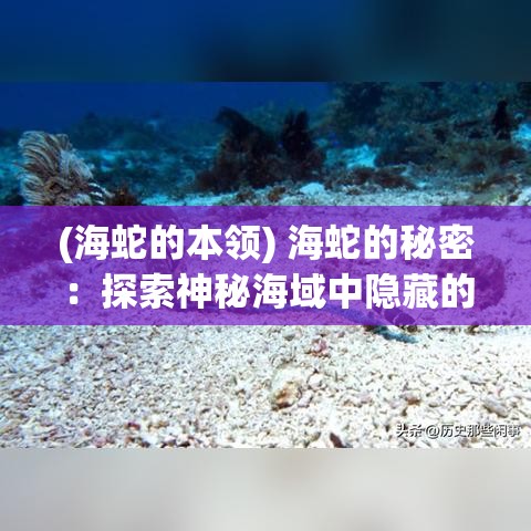 (海蛇的本领) 海蛇的秘密：探索神秘海域中隐藏的古老传说与未解之谜